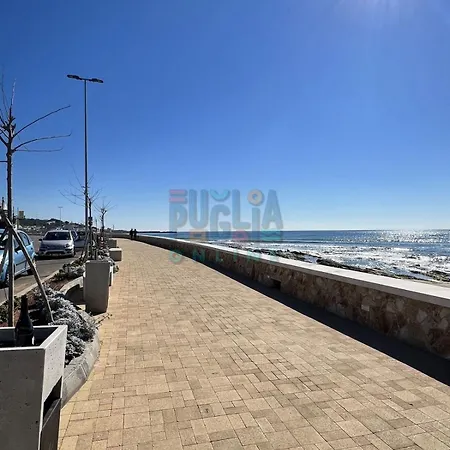 度假居 Bilocale Venezia 2 Fronte Mare Puglia On Line